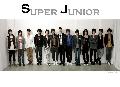 Super junior-10