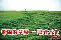 中國地理新知：鄱陽大草原？！